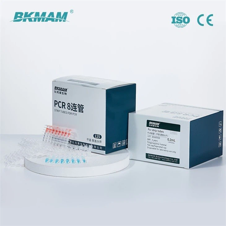 real time PCR