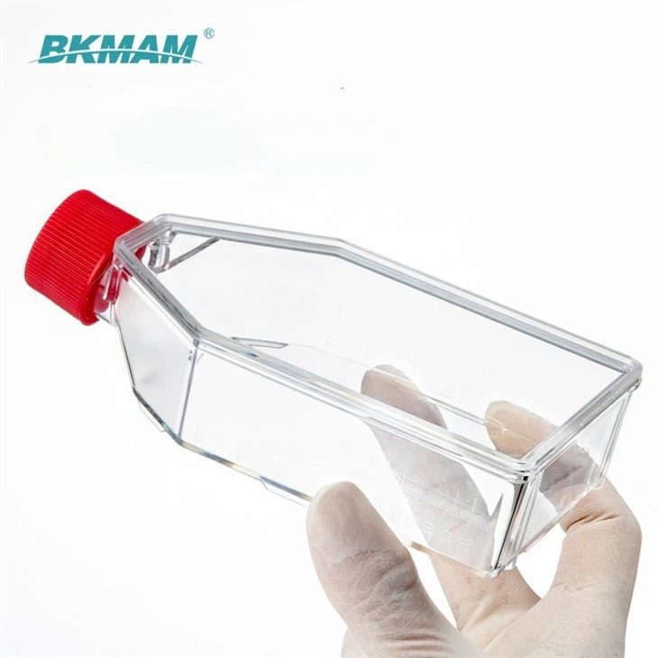 Transparent Sterile TC Treated Cell And Tissue Culture Flask T75