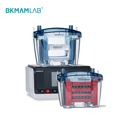 Sistema di elettroforesi orizzontale