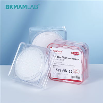 Filtro a membrana in PTFE idrofilo idrofobo